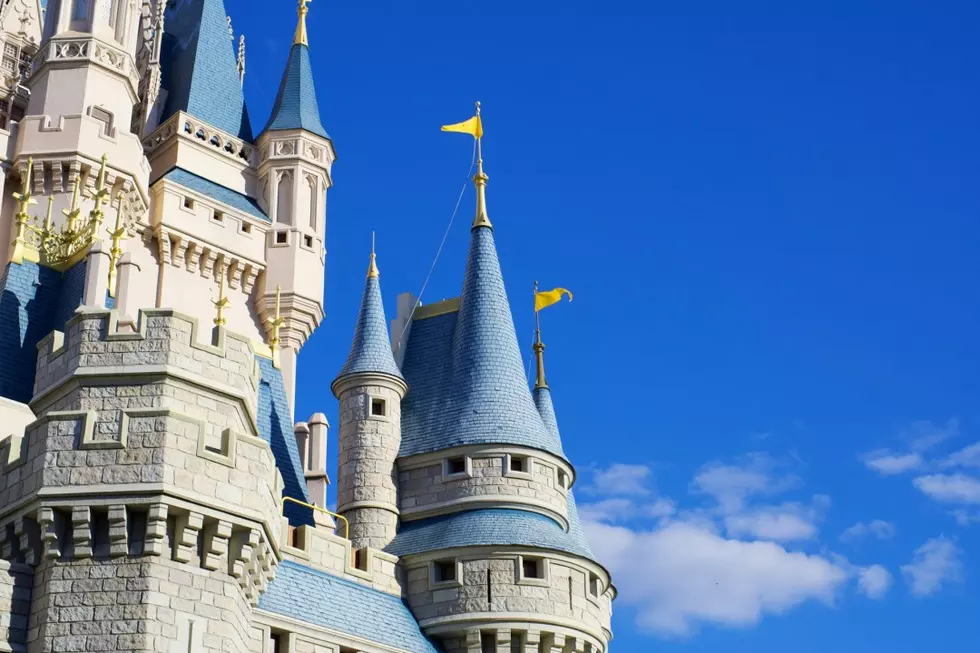 Disney World Guest Finds Giant Broken Light Fixture at Magic Kingdom, Wears It on Head