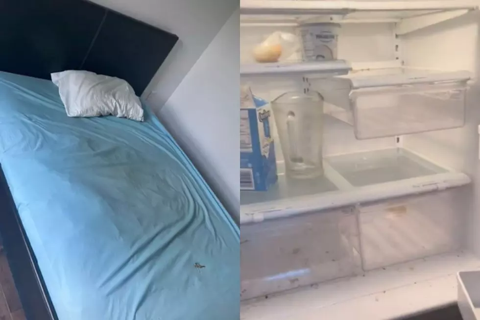 Viral TikTok Exposing Filthy, ‘Nightmare’ Airbnb Check-In Has the Most Absurd Plot Twist (VIDEO)