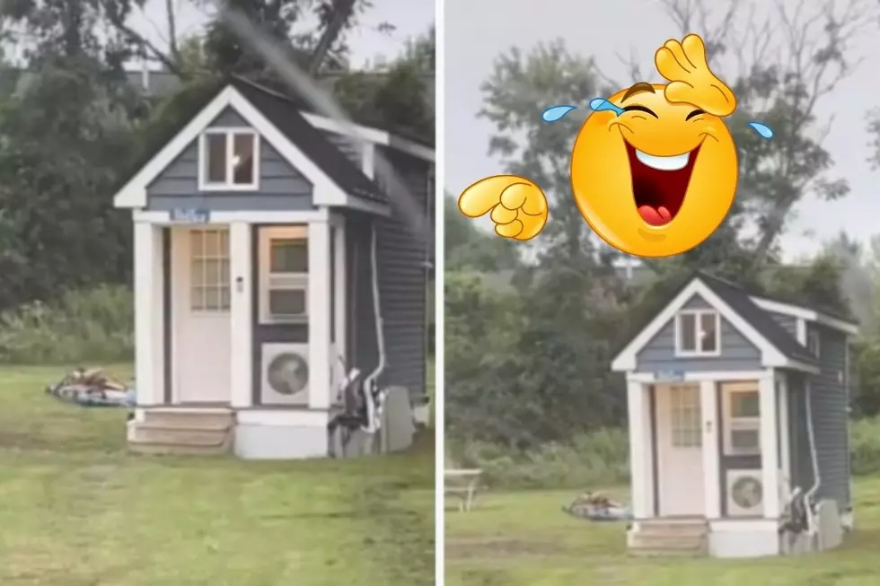 Hilton Saves the Day After Dad Rents Viral Tiny Home on Vacation