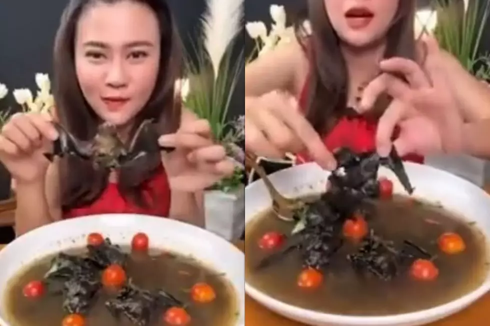 YouTuber Arrested After Eating Bat Soup in Viral Video