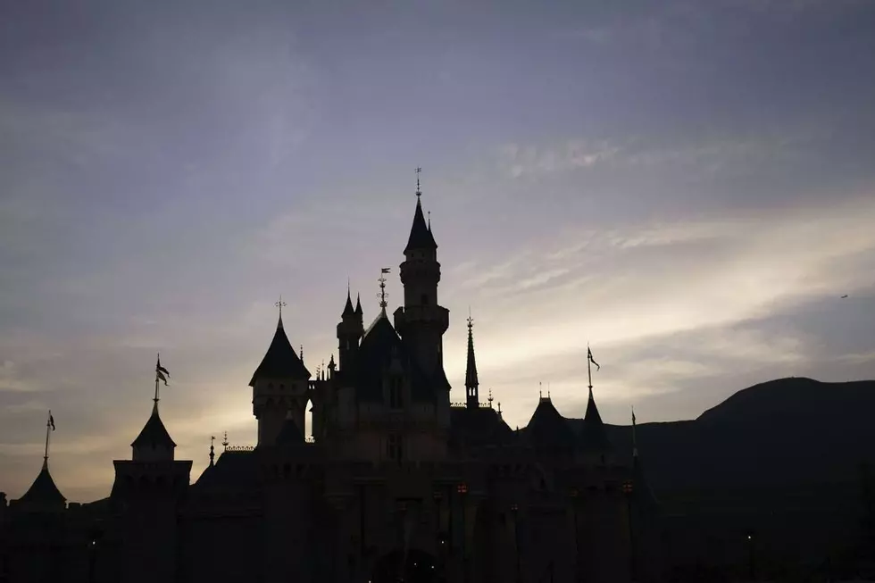 Disneyland Guest Who Died Falling From Parking Garage Identified