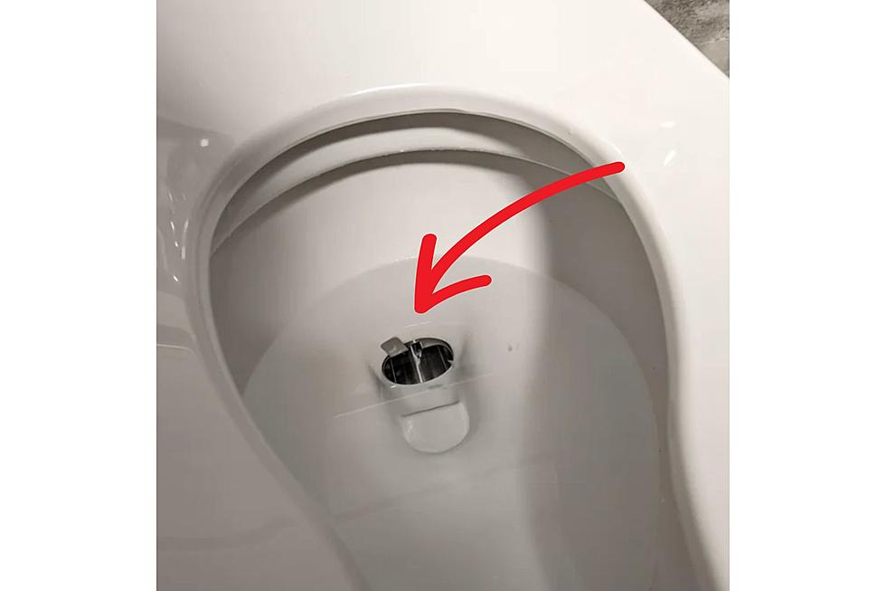 Weird Toilet Featuring ‘Poop Knife’ Goes Viral on Reddit