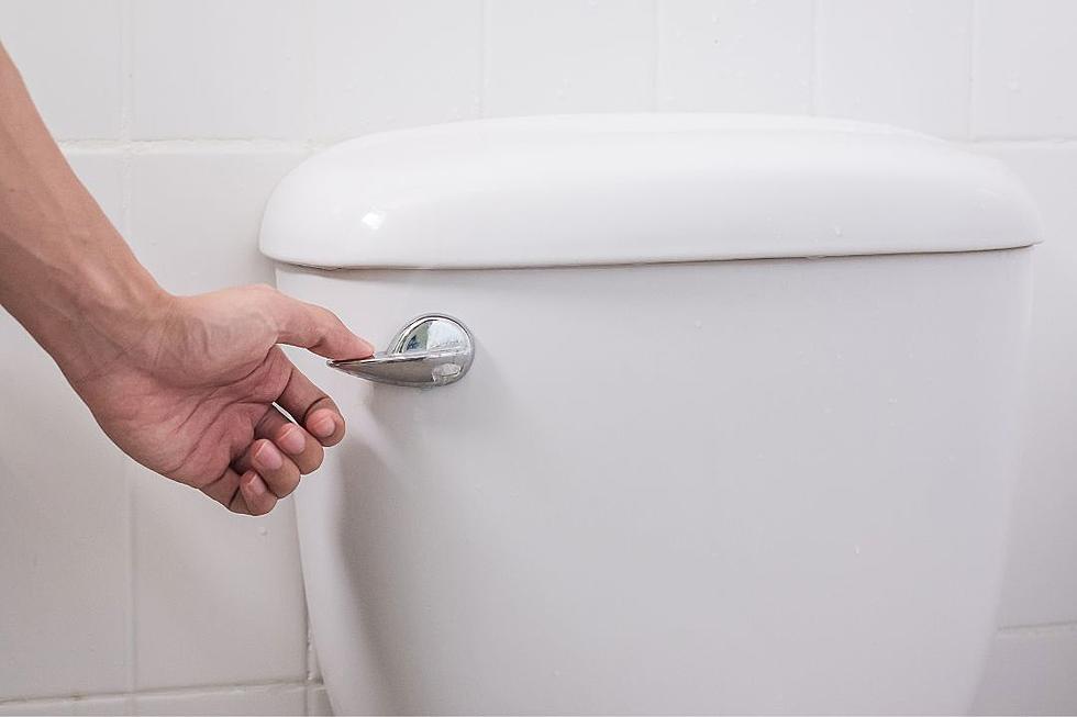 Internet Split After Woman Slams ‘Disgusting’ Husband for Not Flushing Toilet During the Night