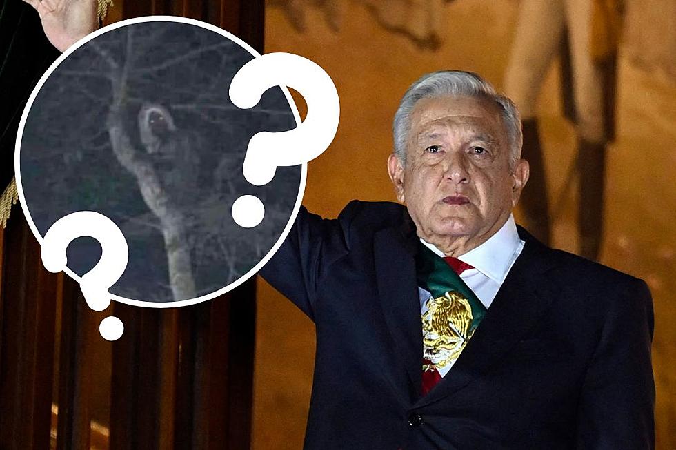 Mexico’s President Goes Viral Sharing Mythical Creature ‘Alux’ on Twitter: PHOTO