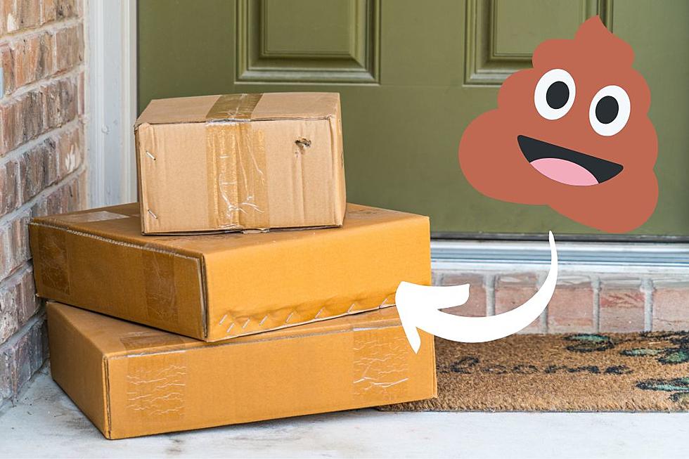 Homeowner Gets Revenge on Porch Pirates With Poop-Filled Boxes