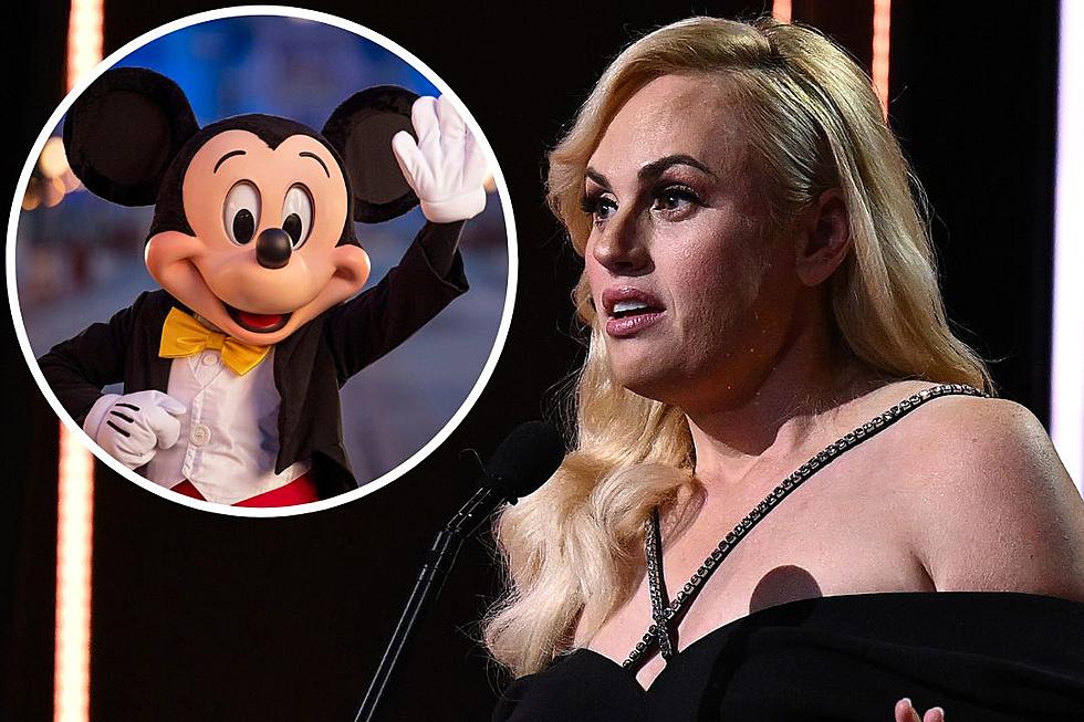 Why Was Rebel Wilson Banned From Disneyland?
