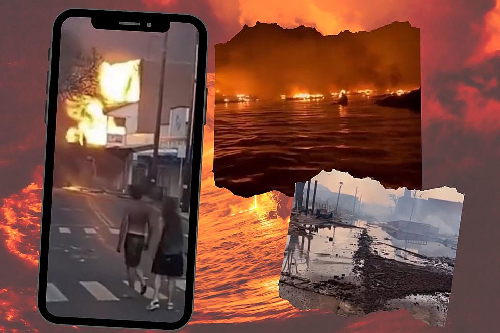 Updated: TikTok Clips Reveal Devastation Caused by Hawaii Wildfires