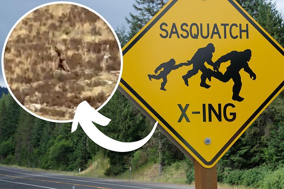 WATCH: Does This Chilling Viral Video Prove Bigfoot Exists?