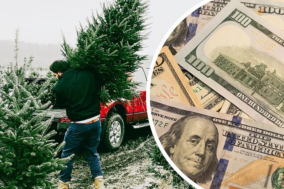 2023 Christmas Tree Prices Will Likely Increase For These Reasons