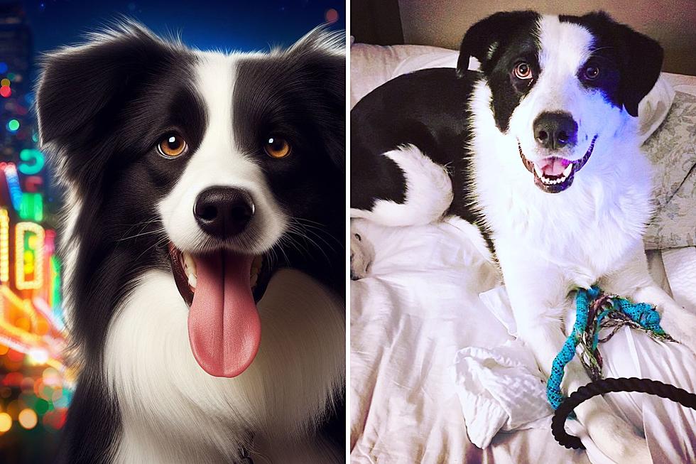 Turning Your Dog Into a Disney Character Is the Next Big Thing