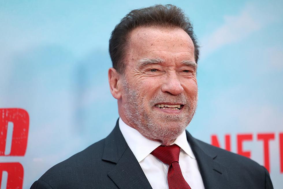 German Customs Detain Arnold Schwarzenegger With Criminal Proceedings: WATCH