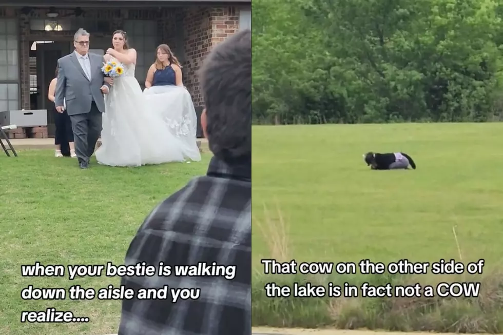 Bride’s Best Friend Realizes Cow Near Wedding Venue Is Actually a Furry