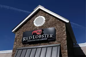 ‘Endless Shrimp’ Deal Basically Killed Red Lobster, Patrons Mourn Seafood Chain Staple