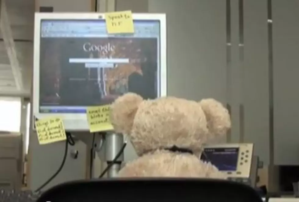 Misery Bear Goes to Work [VIDEO]