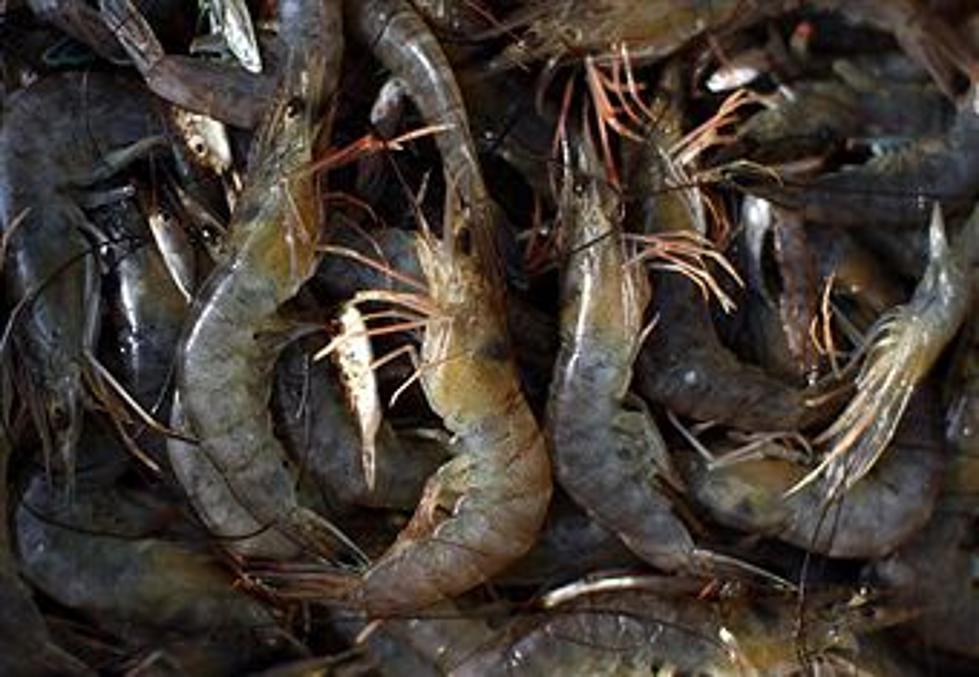 Shrimp Festival is This Week in Delcambre