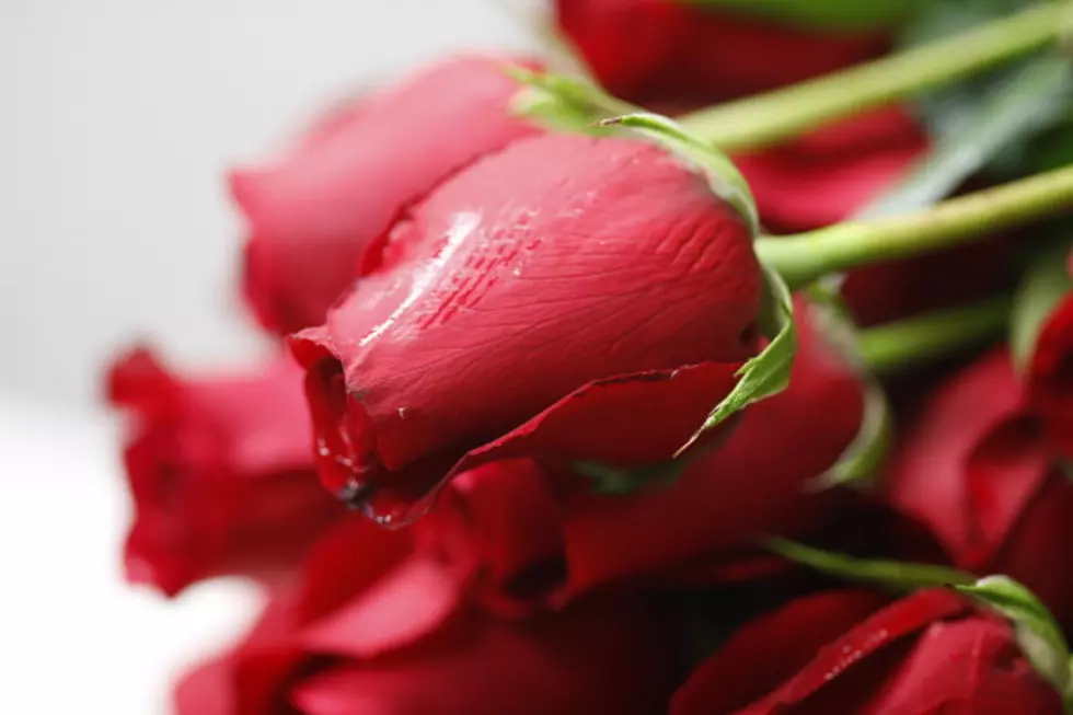 National Red Rose Day [VIDEO]