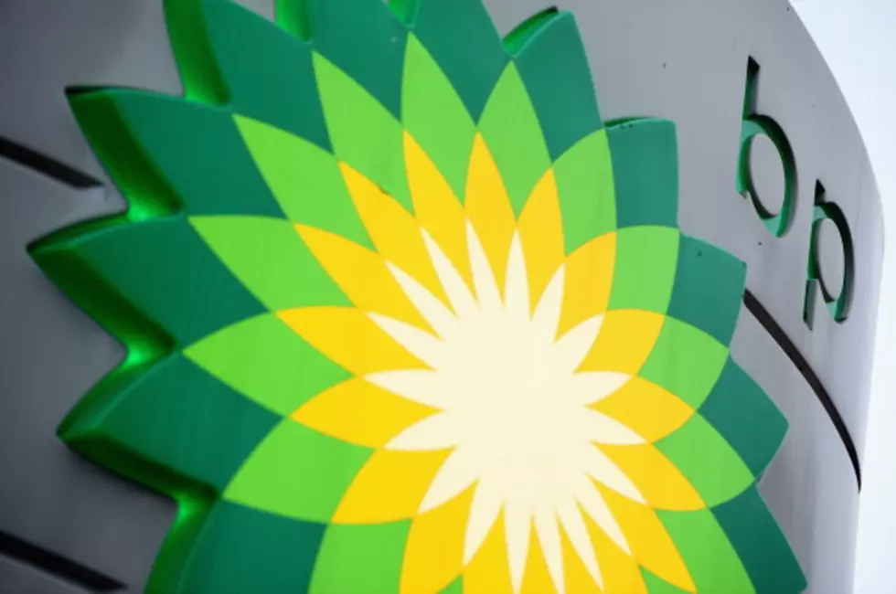 BP Sues U.S. Government