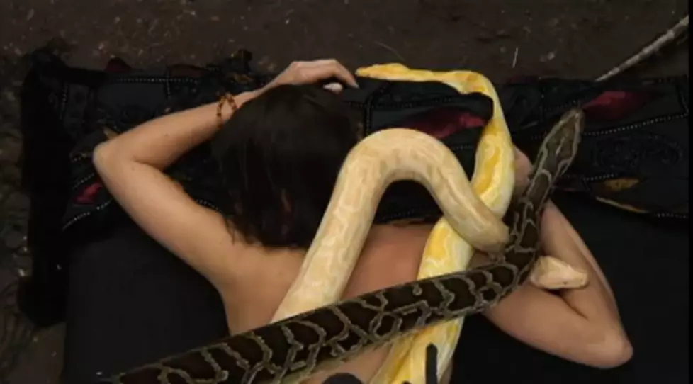 New Trend At Spas, Using Snakes For The Ultimate Massage [OMG VIDEO]