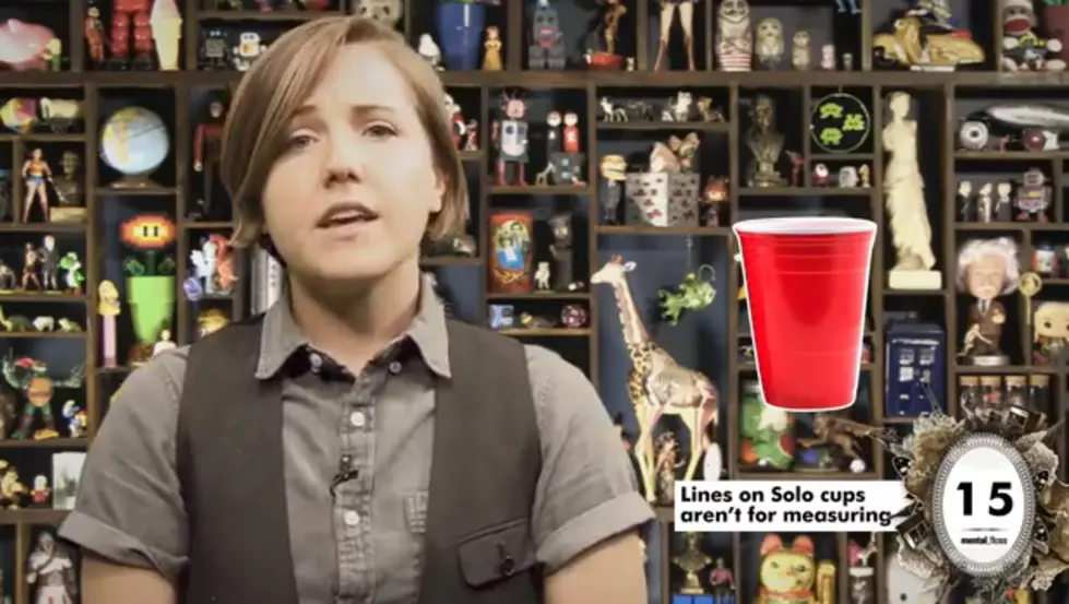 29 Misconceptions About Alcohol, Even Find Out Why There Are Lines On A Red Solo Cup [VIDEO]