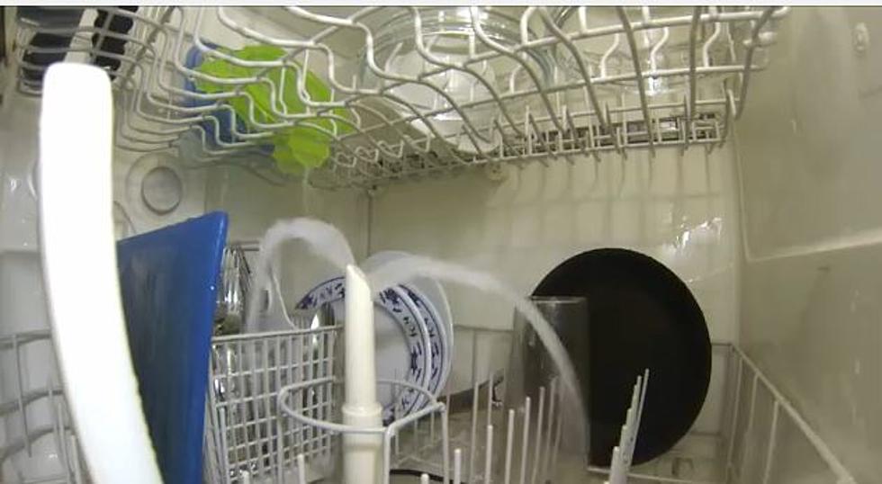 Inside Your Dishwasher