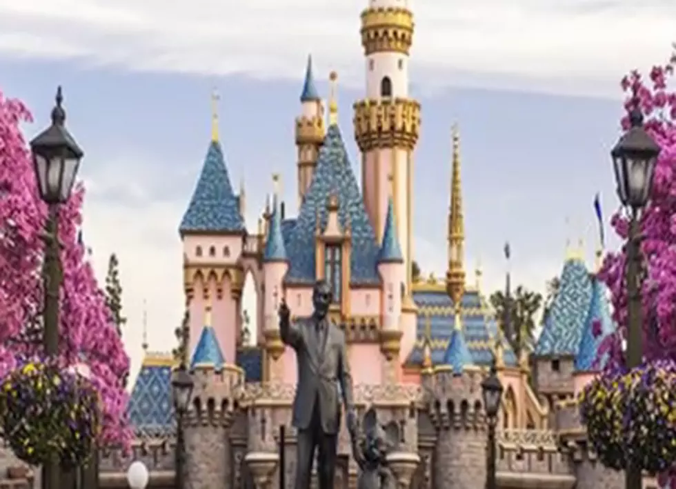 Secrets And Facts About Disney Parks [VIDEOS]