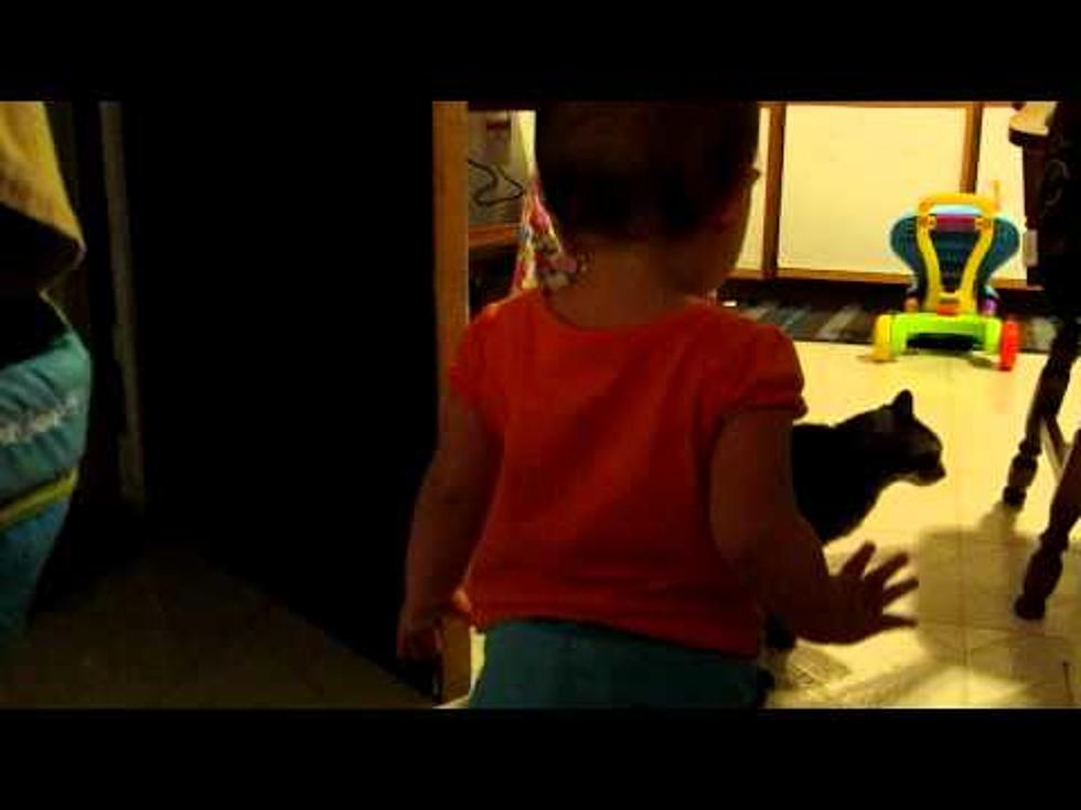 Cat Found Trying To Mind – Control Human Toddler