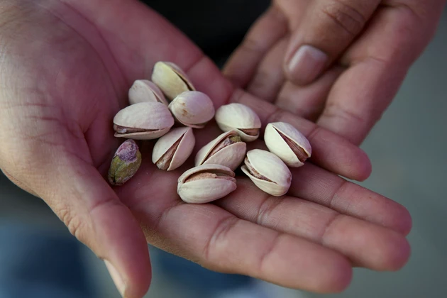 Nuts! Pistachios Recalled