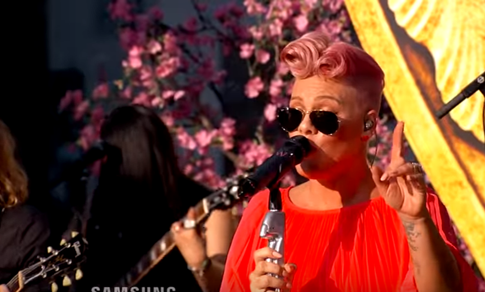 Pink Covers 'White Rabbit'
