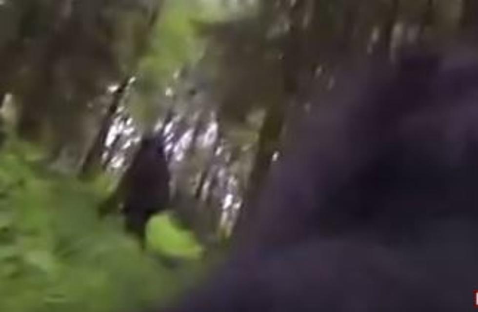Did A Dog Wearing A GoPro Catch A Glimpse Of Bigfoot? [VIDEO]