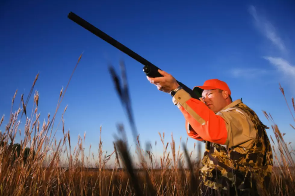 Dove Hunting Season Opens This Weekend