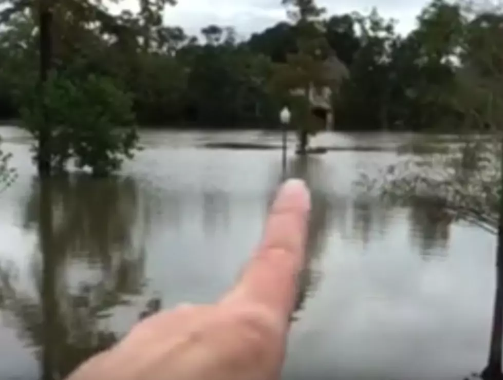 Vermilion River Flooding at Camellia Bridge, Lafayette LA [VIDEO]