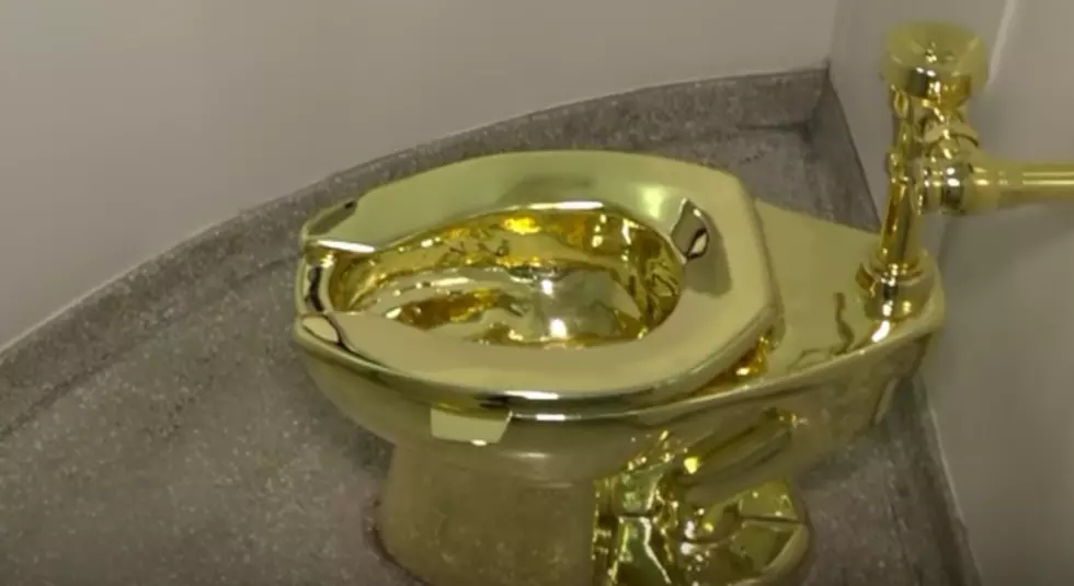 Do Your Business On A Solid Gold Toilet! [Video]