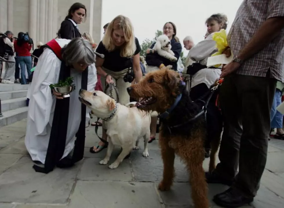 Blessing Of The Pets 