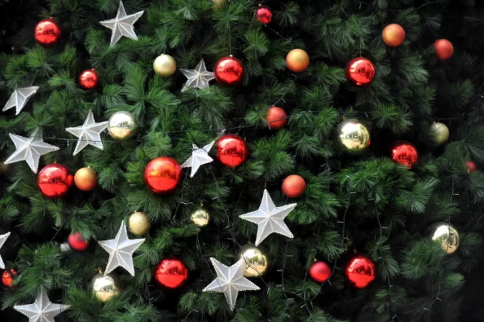 Tips For Choosing The Perfect Christmas Tree