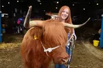 2017 Lafayette 4-H / FFA Livestock Show and Sale