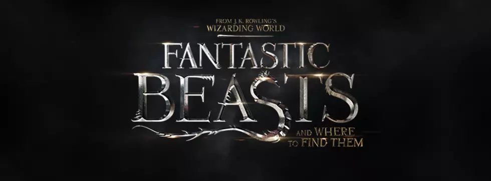 &#8216;Fantastic Beasts&#8217;  At Movies In The Parc [Video]