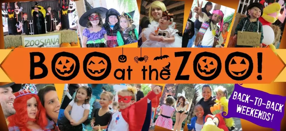 'Boo At The Zoo' At Zoosiana This weekend!