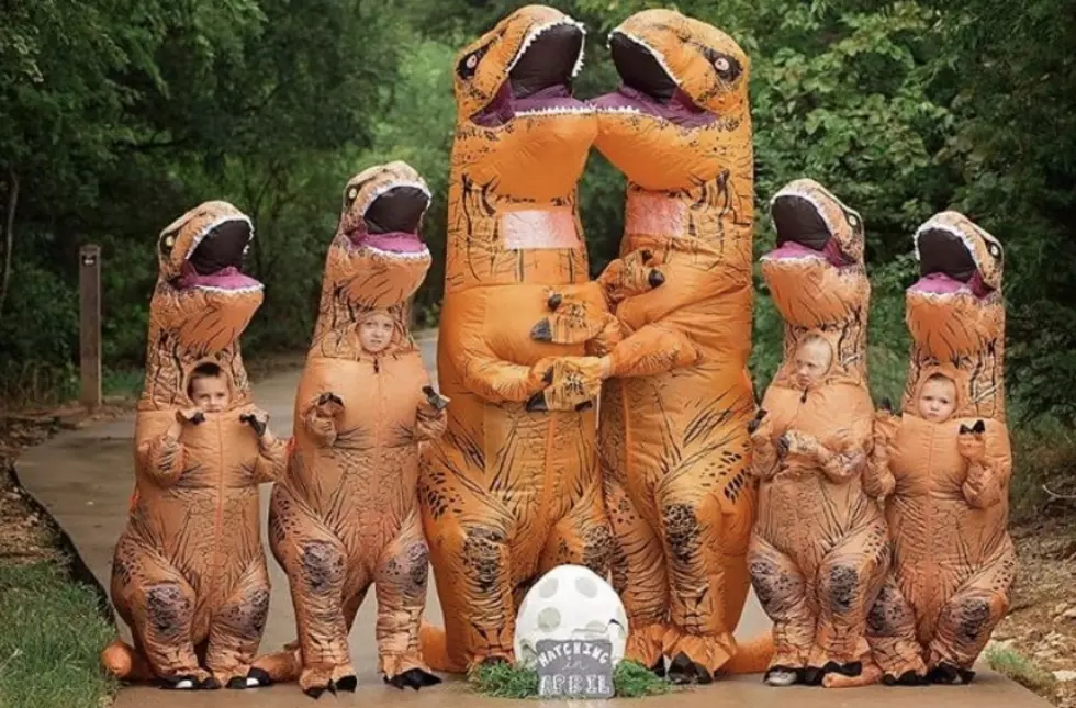 Dinosaur Pregnancy Announcement Goes Viral