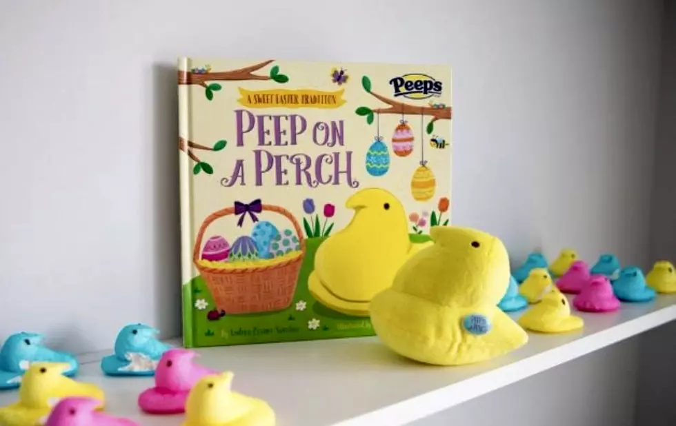 Is 'Peep On A Perch' The New 'Elf On A Shelf'?