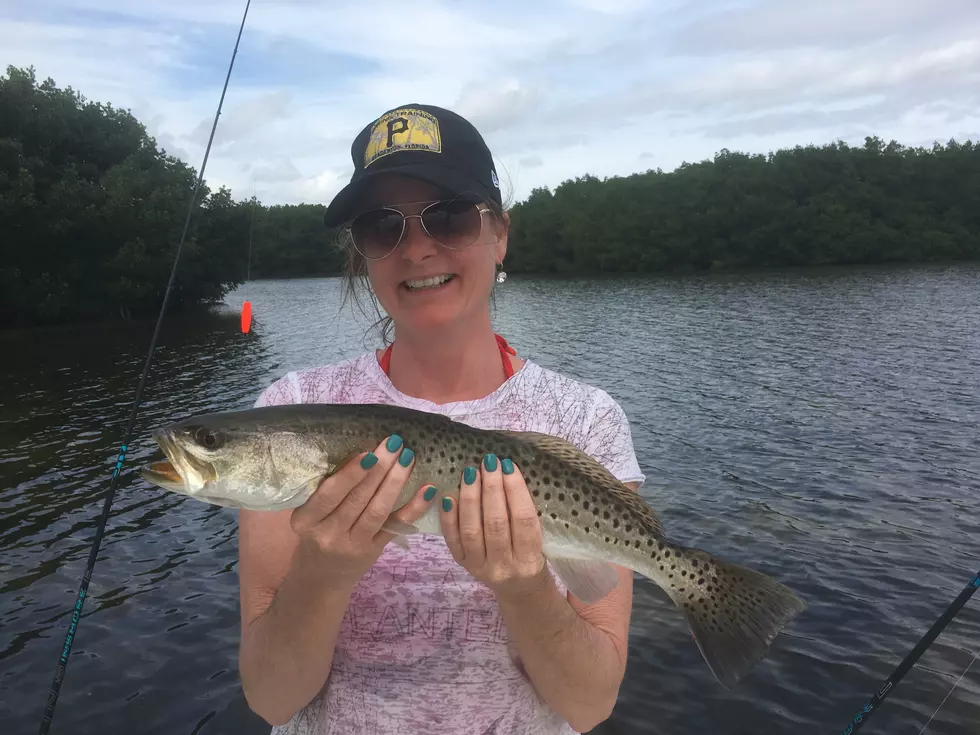 Louisiana Wildlife & Fisheries to Change Speckled Trout Limits