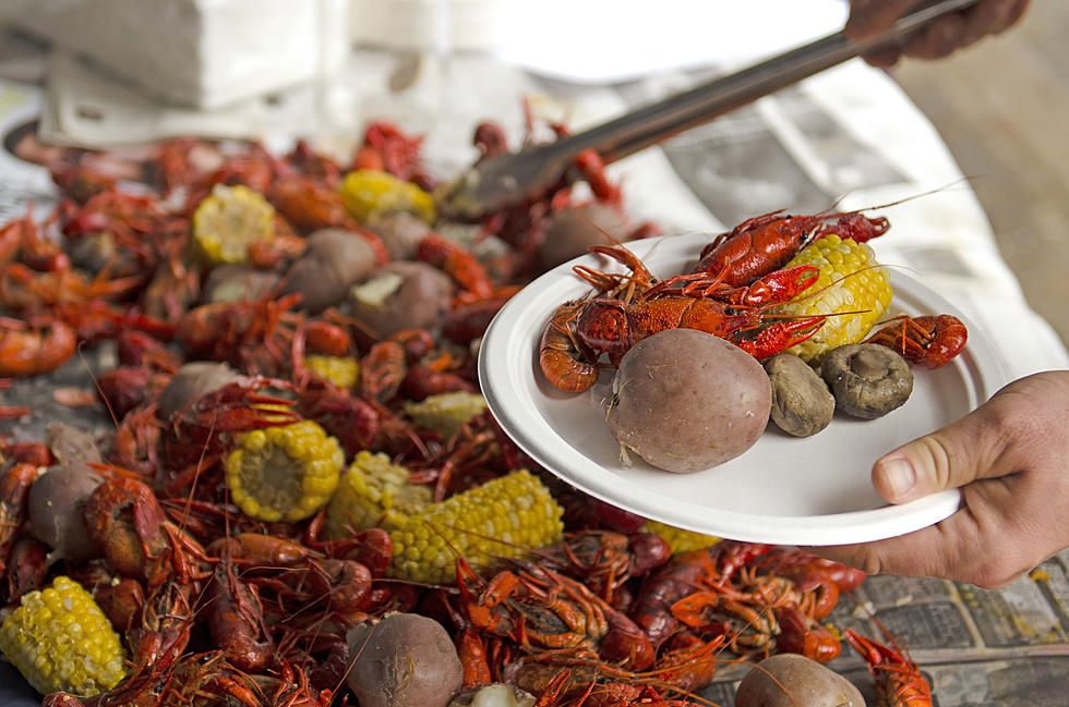 Crawfish Prices Down Across Louisiana,  Price Jump is Expected 