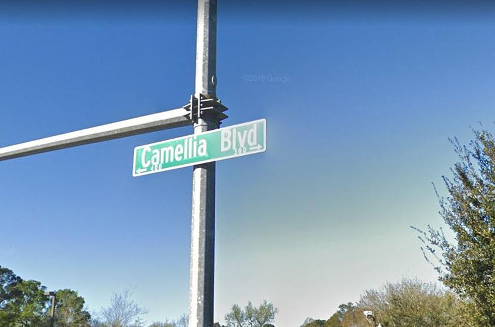Do You Think The Speed Limit Needs To Change On Camellia Boulevard?