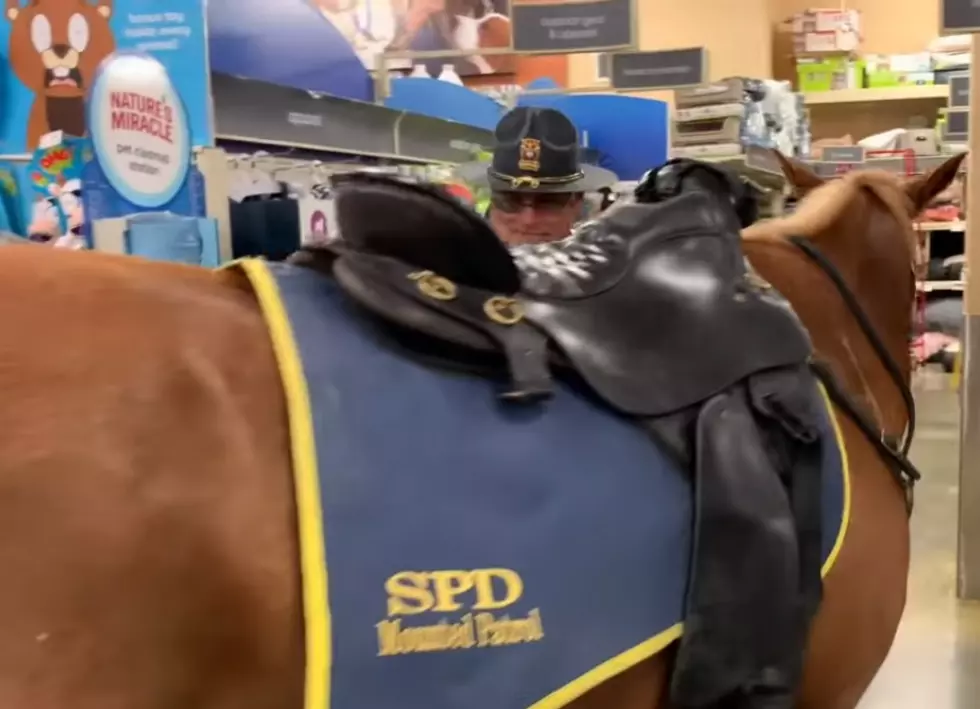 Mounted Police Call On The PetSmart In Slidell