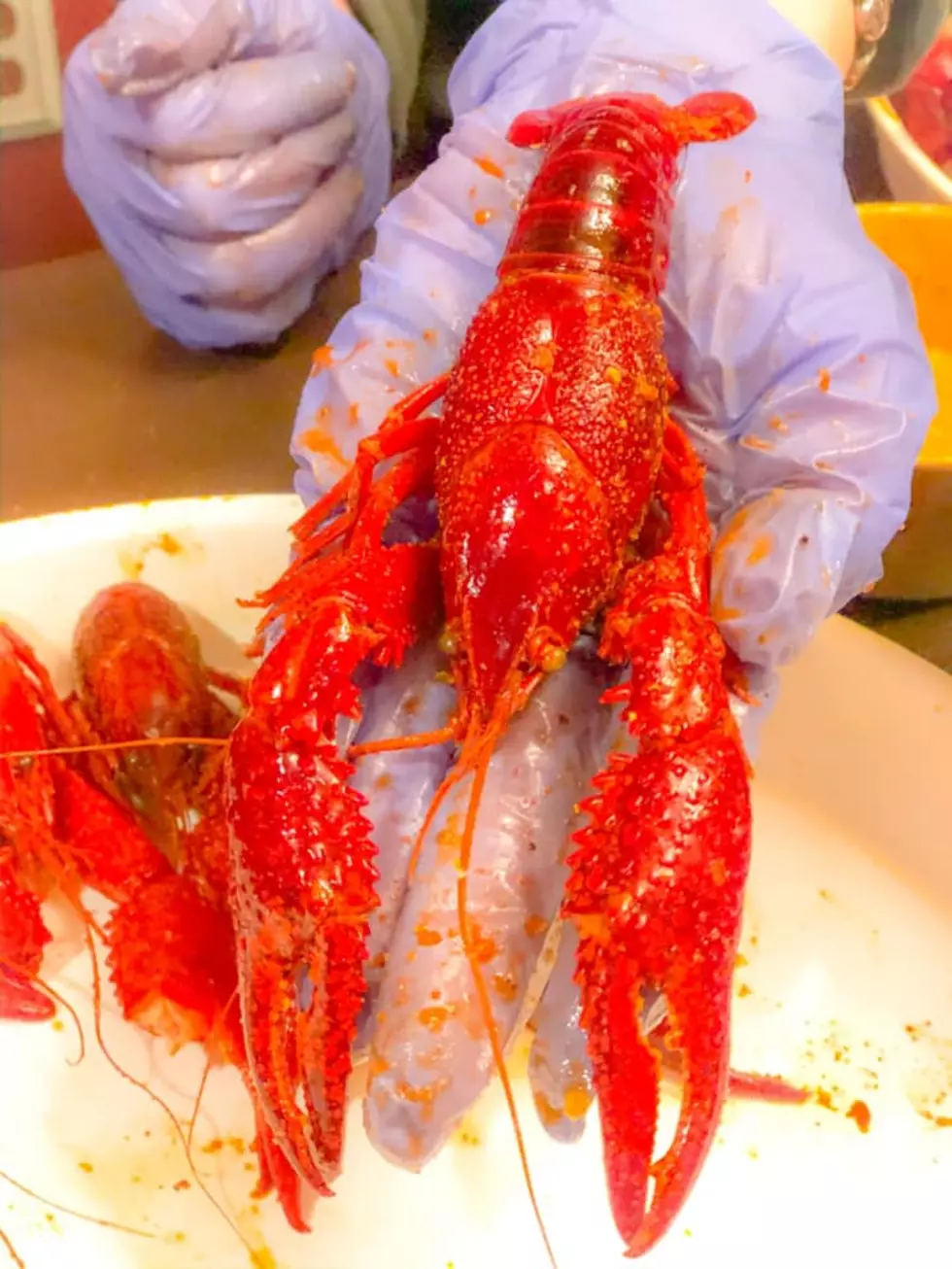 The Crawfish Ambassador’s List of Boiled Crawfish Restaurants