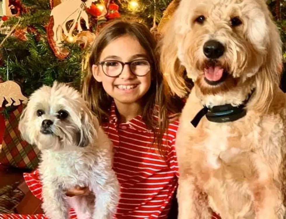 Lafayette Girl is Giving Up Her Birthday Gifts to Help Animals
