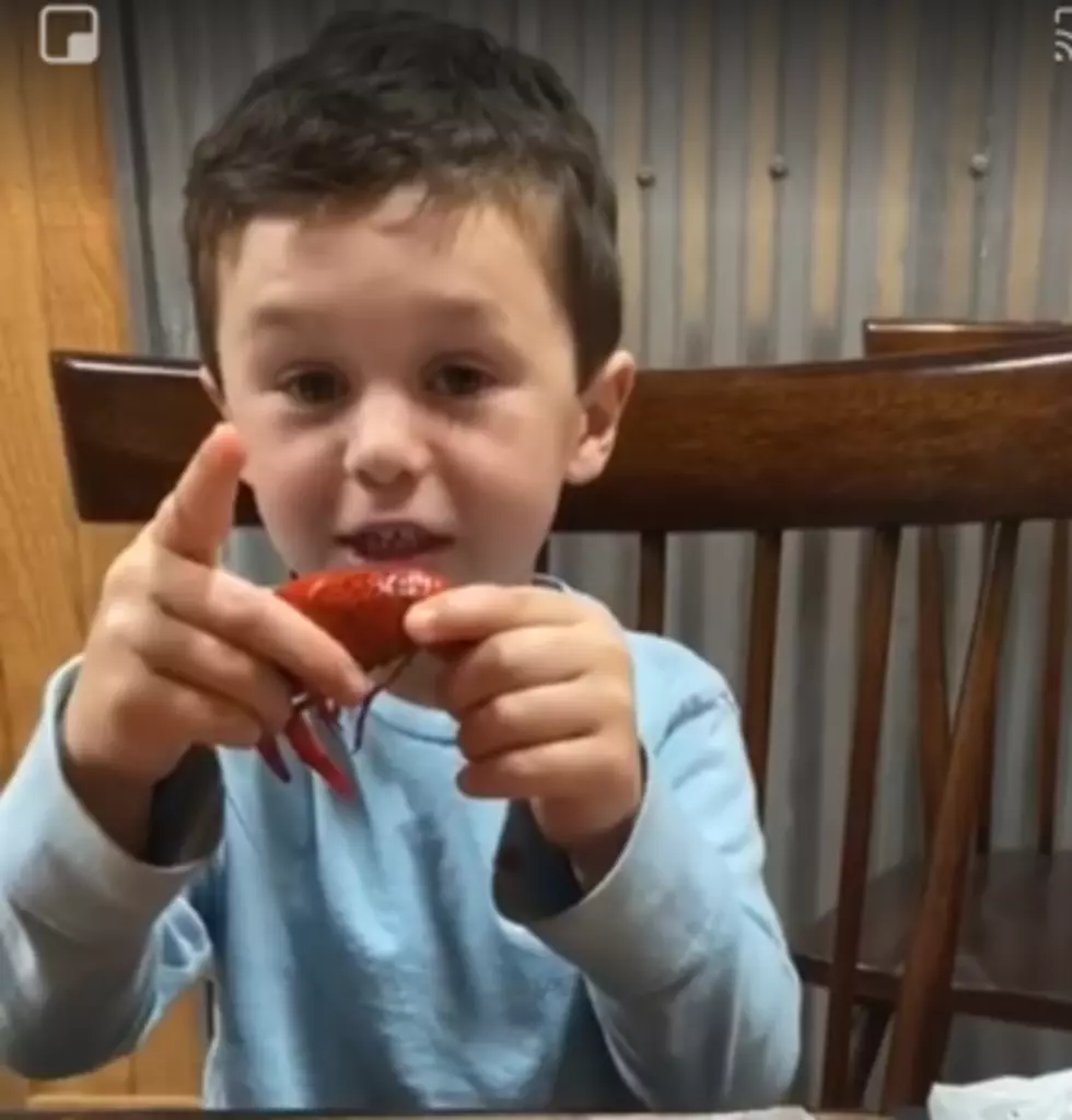 Six-Year-Old Braxton is a Master Crawfish Peeler [VIDEO]