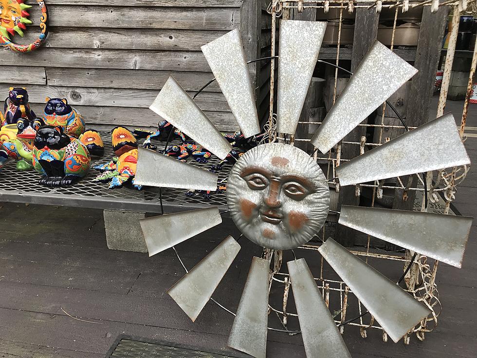 Seize the Deal: Native Sun Nursery