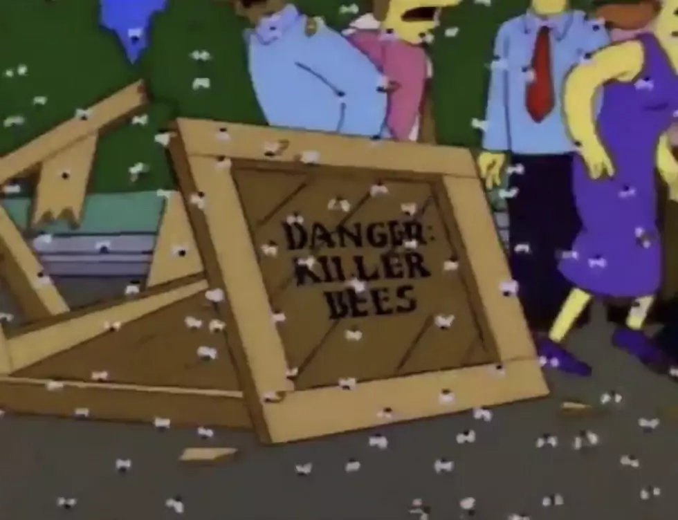 The Pandemic and Killer Bees Predicted in The Simpsons [Video]