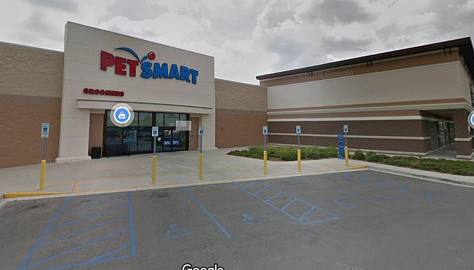 PetSmart Latest National Retailer to Require Face Masks