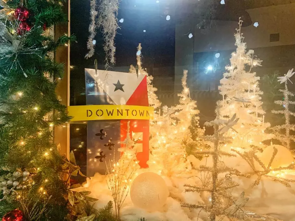Downtown Lafayette Art Display &#8216;Window Wonderland&#8217;